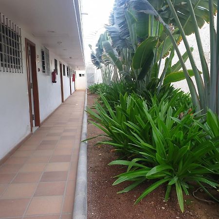 El Apartamento De Concha San Agustin  Luaran gambar